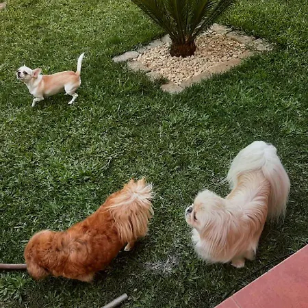 Estudio De 派瓦堡