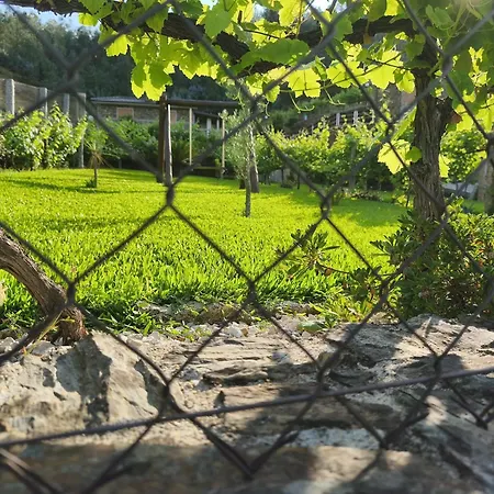 Estudio De 假日公园 派瓦堡