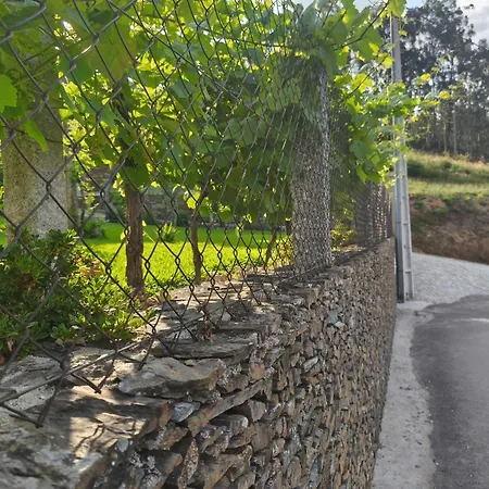 Estudio De * 派瓦堡