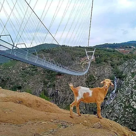 Estudio De Aldeamento Turístico