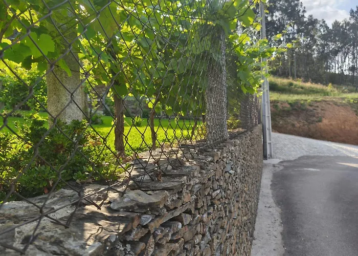 Estudio De * Castelo de Paiva